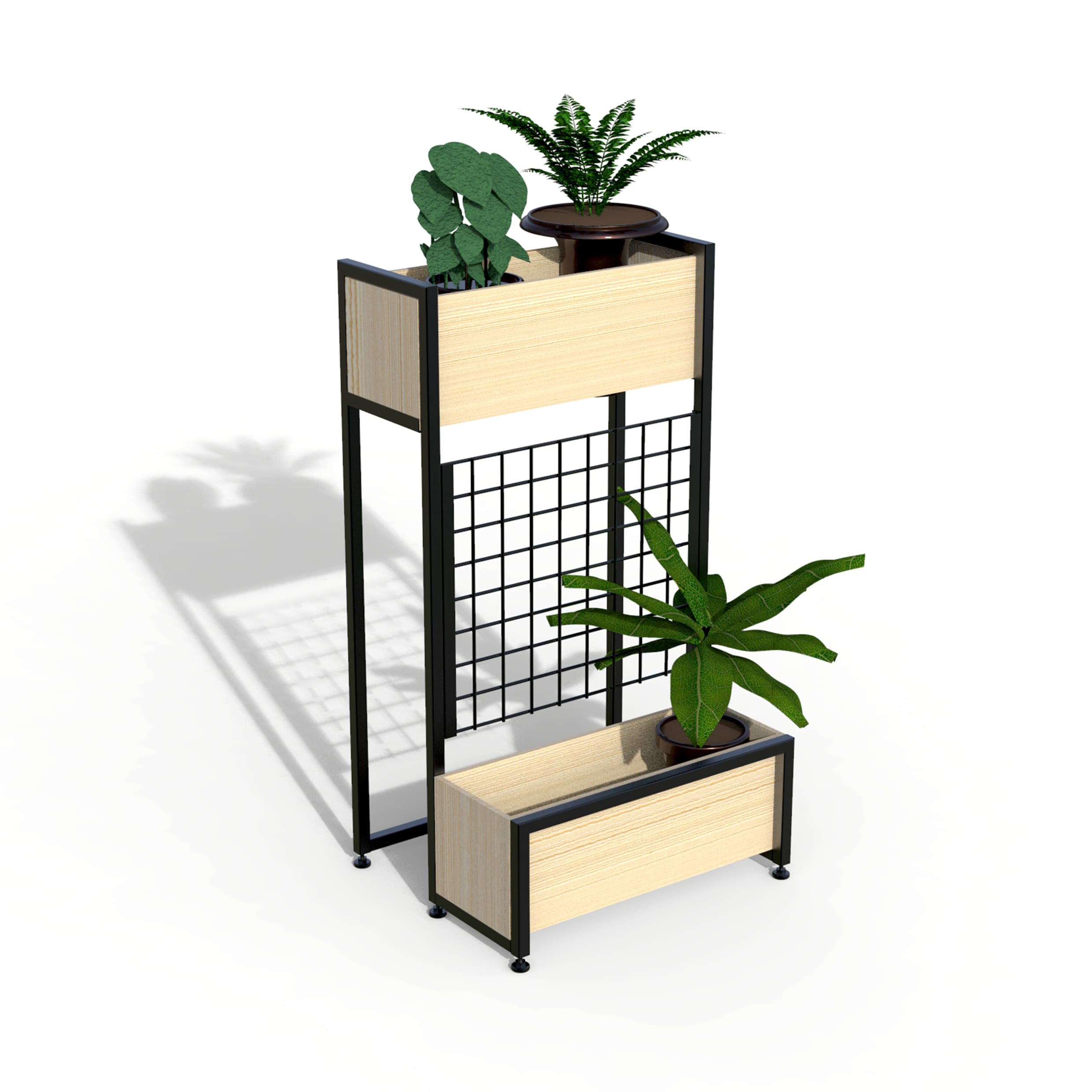 1579135938_SH-05 植物.jpg 1579135938_SH-05 植物.jpg